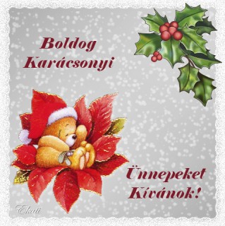 Boldog karácsonyt...
