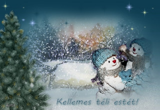 Kellemes téli estét...